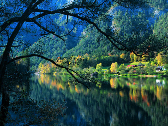 Thumsee