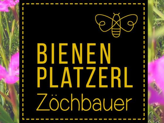 logoblume