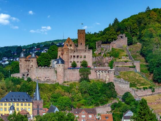 Wertheimer Burg