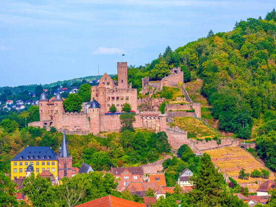Wertheimer Burg