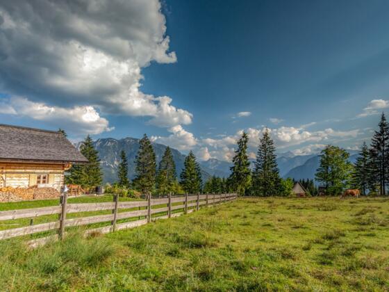 Kriemoosalm Bad Goisern
