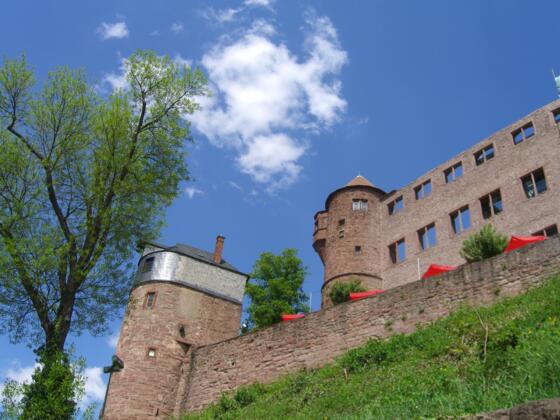 Burg Wertheim