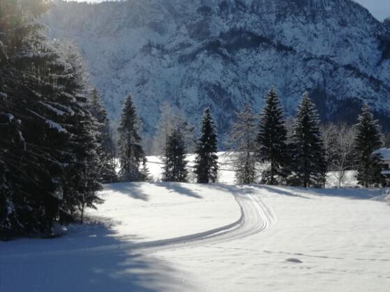 Verbindungsloipe Ramsau nach Reitern in Bad Goisern am Hallstättersee