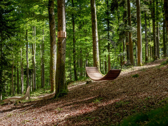 Baumschaukel im WaldSpa Reischlhof