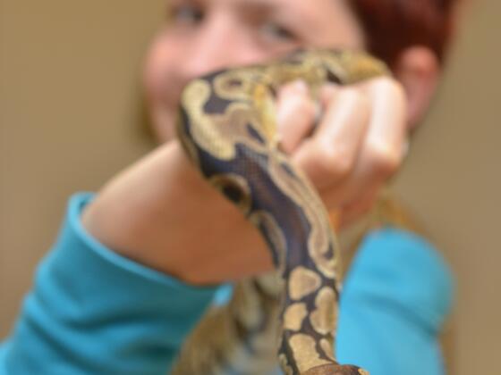 Reptilienzoo Scheidegg