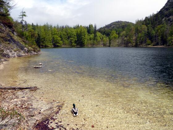 Der Eibensee war früher ein erzbischöfliches Fischrevier.