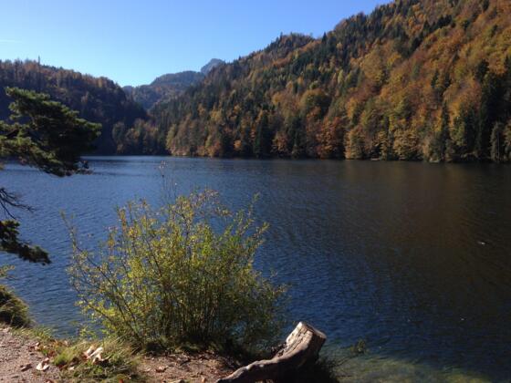 Hechtsee im Herbst