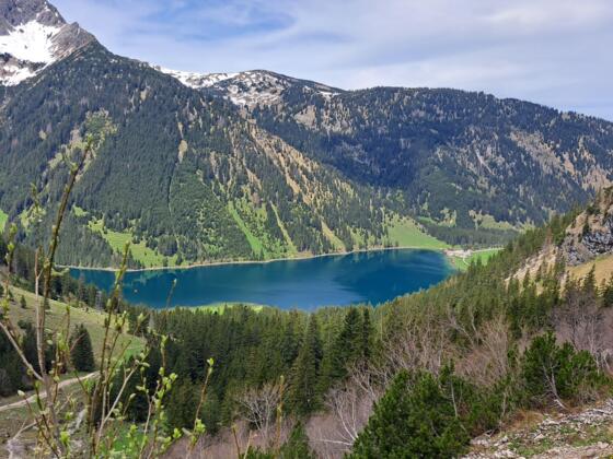 Vilsalpsee