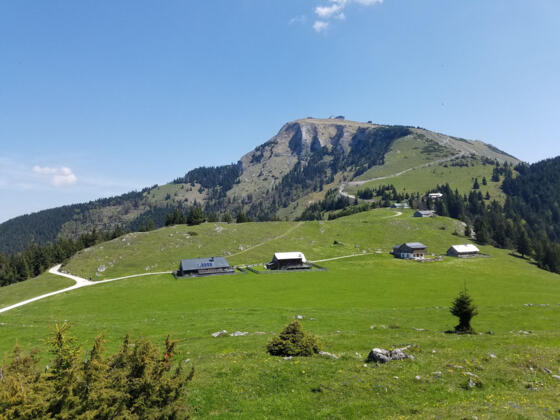 Der Blick vom einsamen Aignerriedel (1326 m) über die Schafbergalmen auf den Schafberg.