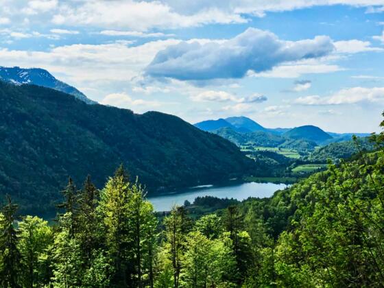 Blick auf den Hintersee