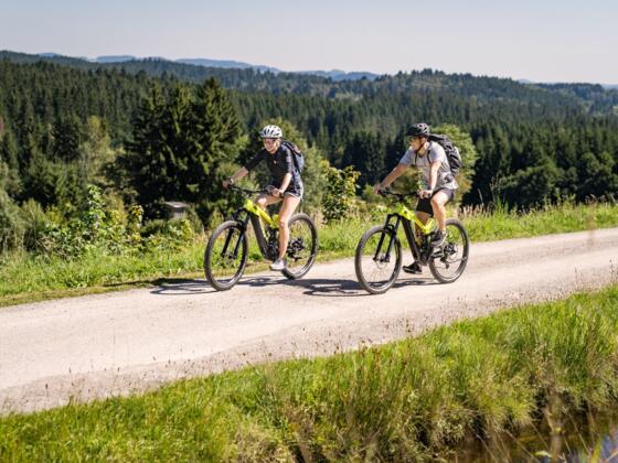 Mountainbiken Schwemmkanal