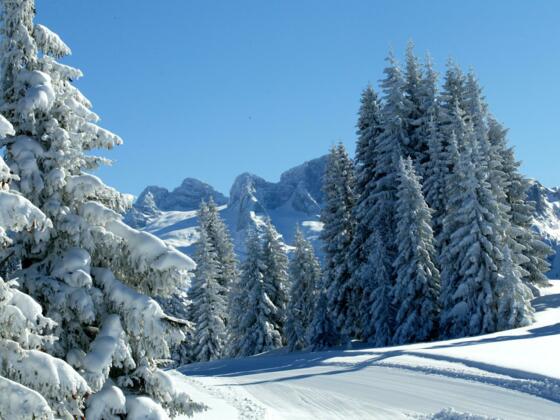 Skiregion Dachstein West