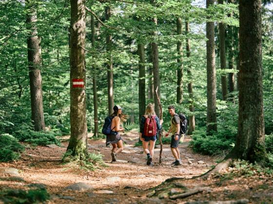 BoehmerwaldWandernWaldUnterhaltung_OberoesterreichTourismusBoehmerwaldRobertMaybach.jpg