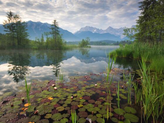 Barmsee