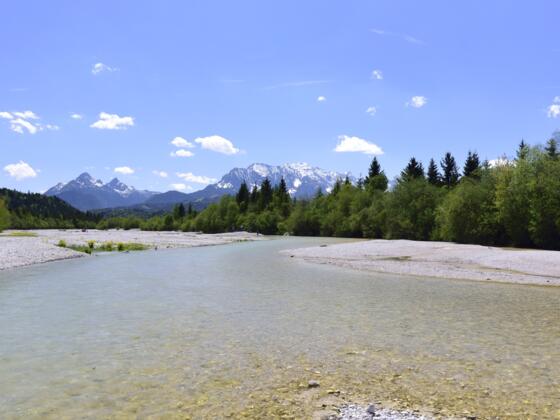 Isarflussbett