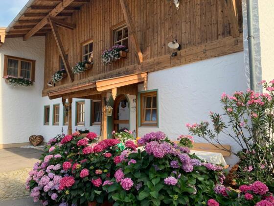 Herzlich Willkommen auf dem Kainzenhof