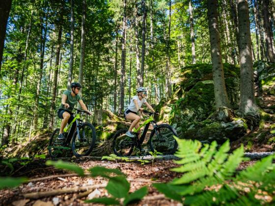 MountainbikenWaldHochficht01_FerienregionBoehmerwaldJustinBerlingerFotografie.jpg