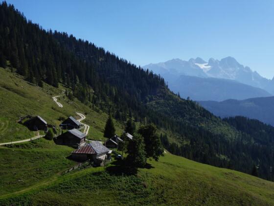 Die Hütten auf der Rinnbergalm und das Dachsteinmassiv im Hintergrund.