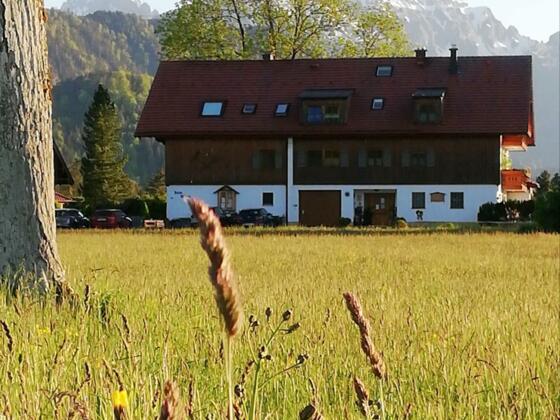 Haus im Frühling mit Säule