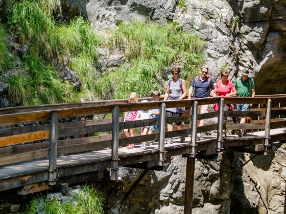 Voderkaserklamm