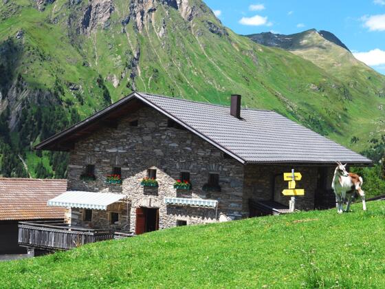 Hoanzeralm