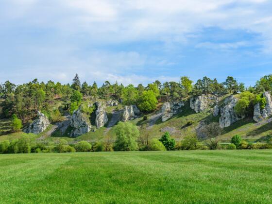 Felslandschaft der Zwölf-Apostel im Altmühltal