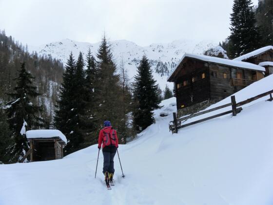 Galleralm