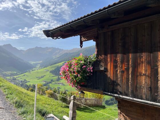 Oberer Höhenweg Alpbach - Inneralpbach