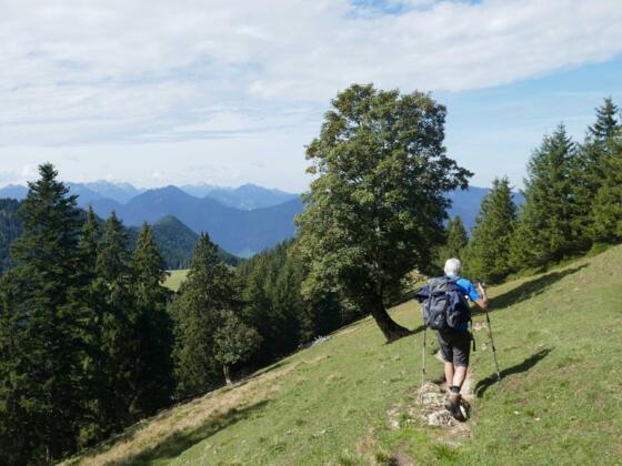 Die Querung zum Buchrain erfolgt auf einem schönen Panoramaweg