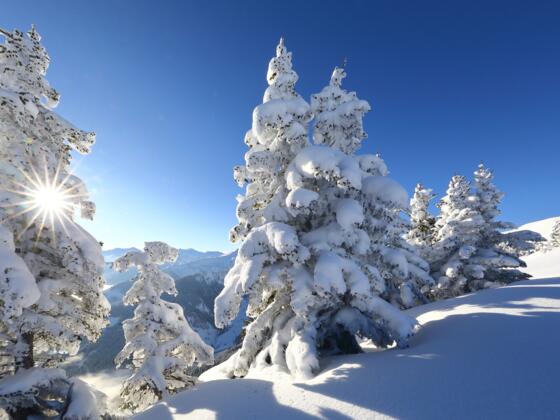 Winterlandschaft