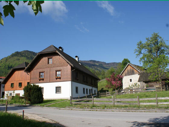 herbstlicher Waldweg