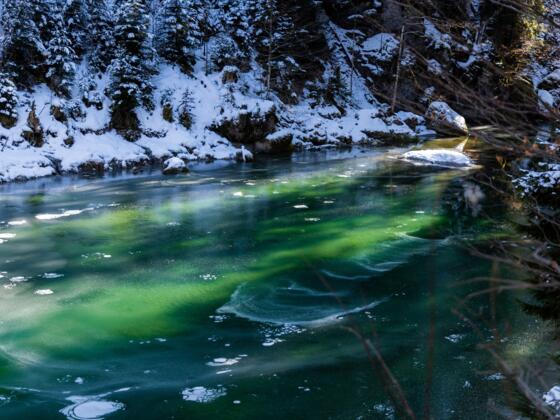 Winter im Haldertobel