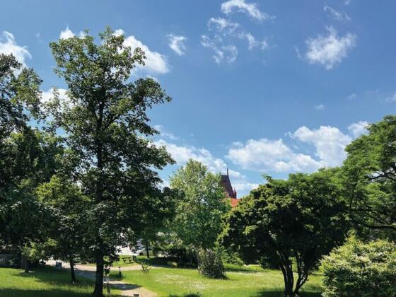 Kobl-Bio-Runde Schlosspark