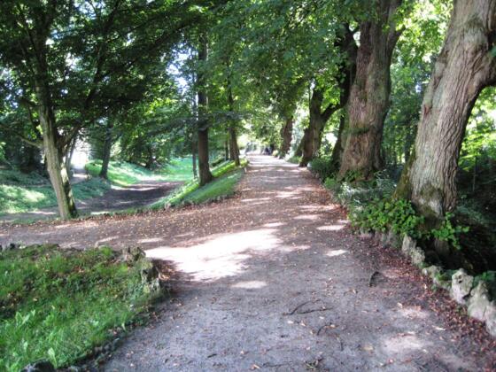 Oettingen - Schlosspark