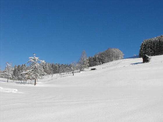Alpen Felder und Wälder aus dem Garten Alpenwiesen