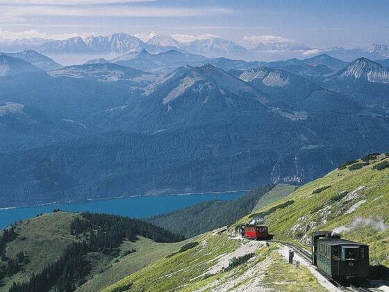 Alpenrosen
