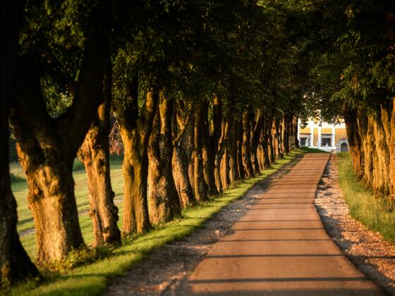 Zufahrt zum Golfclub