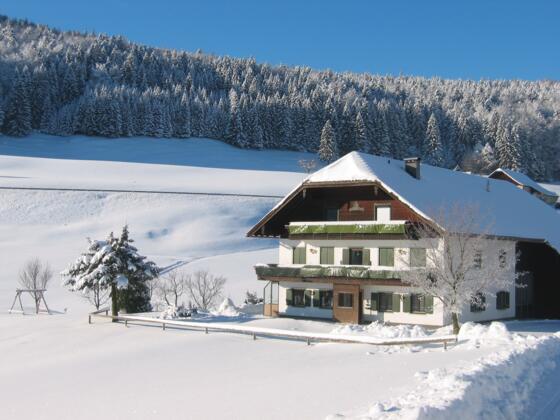 Schneeparadies am Fuschlsee