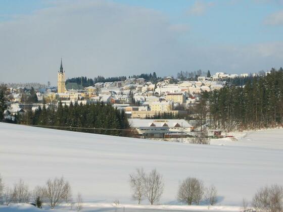 Blick auf Rohrbach-Berg im Winter