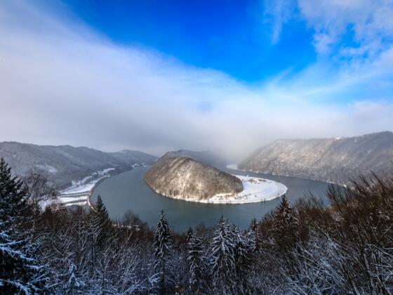 Schlögener Donaublick im Winter