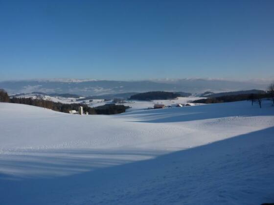 Ausblick auf den verschneiten Böhmerwald