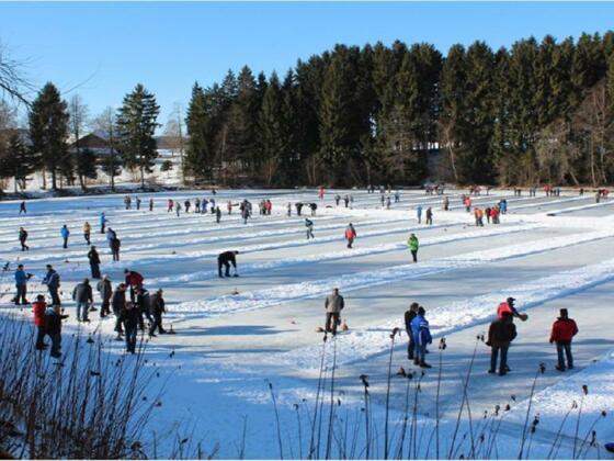 Eisstockschießen am Teich