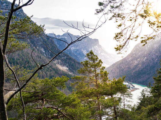 Blick vom Wanderweg am Müllnerhorn auf den Saalachsee