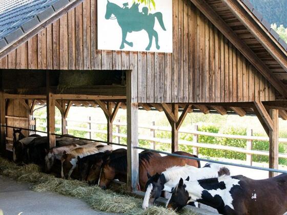 Stall