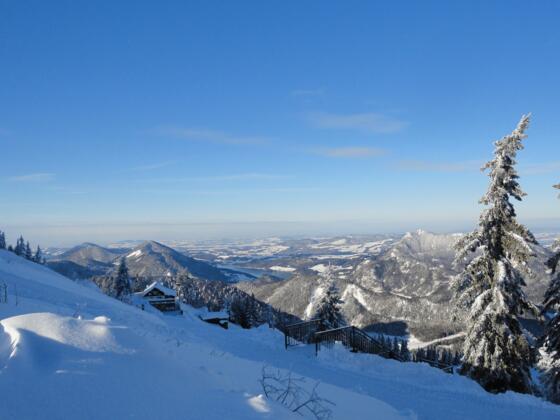 Winter am Zwölferhorn