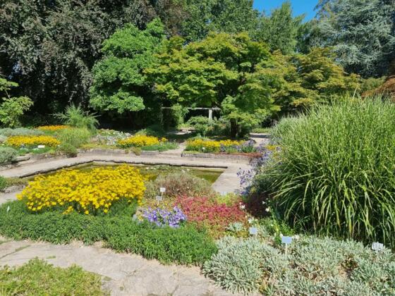 Botanischer-Garten-Linz_c_LinzTourismus-EM