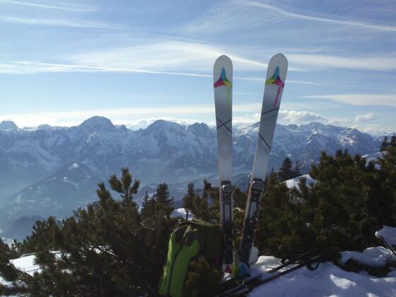 Spitzplaneck-Bankerl