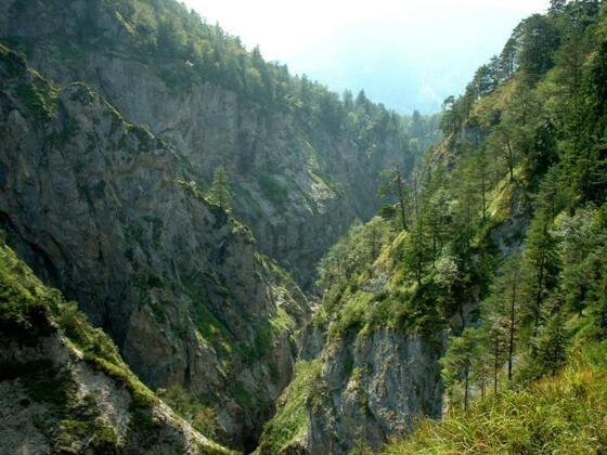 Blick in die Strubklamm