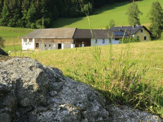 unser Hof inmitten grüner Wiesen