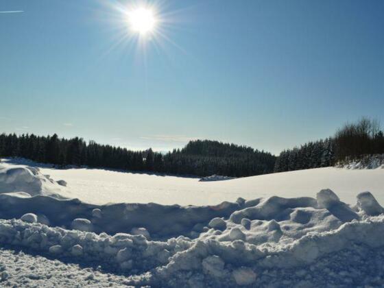 Winter_Sonne